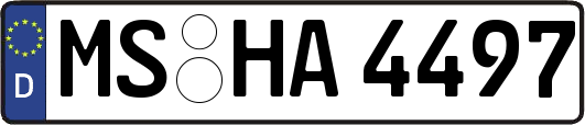 MS-HA4497