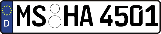 MS-HA4501