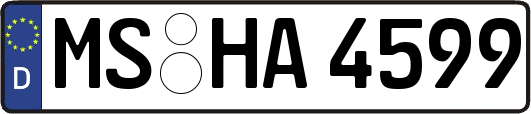 MS-HA4599