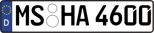 MS-HA4600