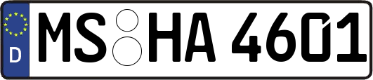 MS-HA4601