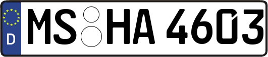 MS-HA4603