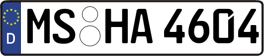 MS-HA4604