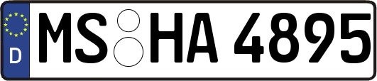 MS-HA4895