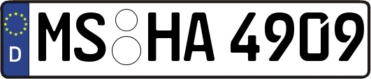 MS-HA4909