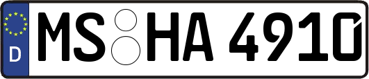 MS-HA4910
