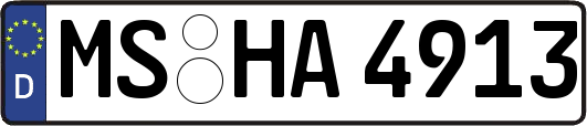 MS-HA4913