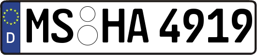 MS-HA4919