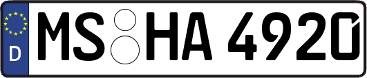 MS-HA4920