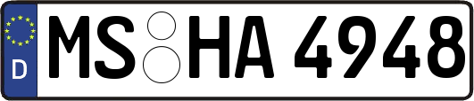 MS-HA4948