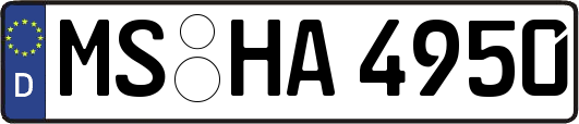 MS-HA4950