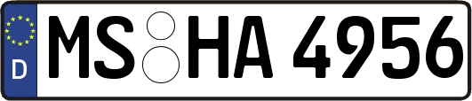 MS-HA4956