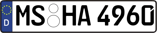 MS-HA4960