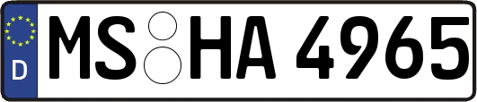 MS-HA4965