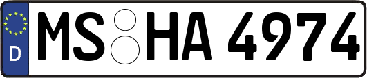 MS-HA4974