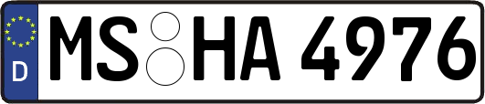 MS-HA4976