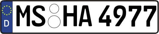 MS-HA4977