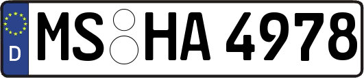 MS-HA4978