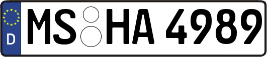 MS-HA4989