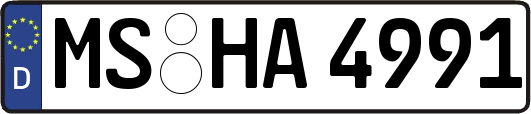 MS-HA4991