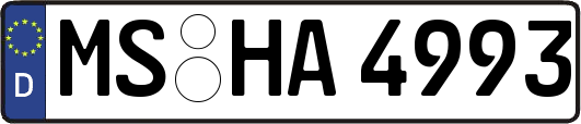 MS-HA4993
