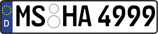 MS-HA4999