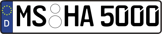 MS-HA5000