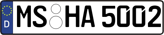 MS-HA5002