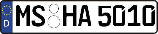 MS-HA5010