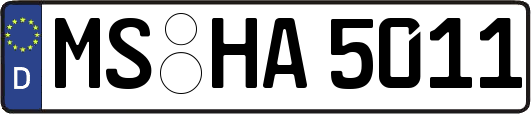 MS-HA5011