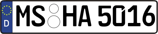 MS-HA5016