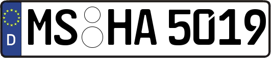 MS-HA5019