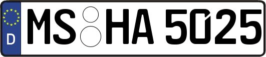 MS-HA5025