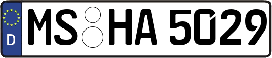 MS-HA5029