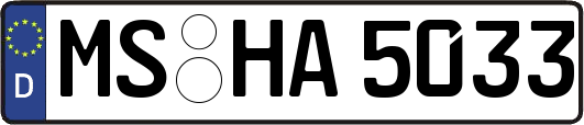 MS-HA5033