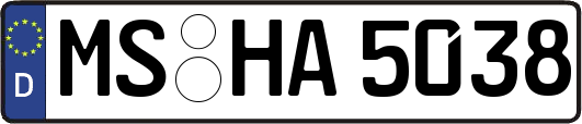 MS-HA5038