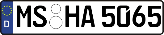 MS-HA5065