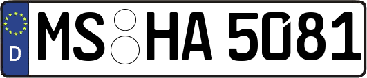 MS-HA5081