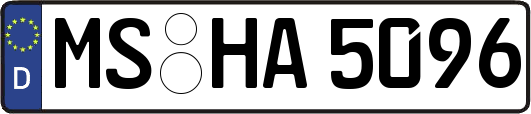 MS-HA5096
