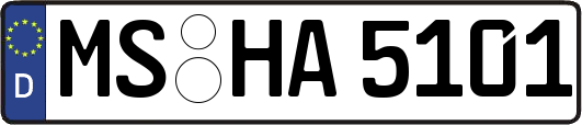 MS-HA5101