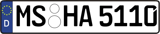 MS-HA5110