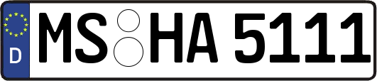 MS-HA5111