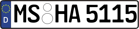 MS-HA5115