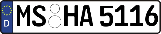 MS-HA5116