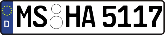MS-HA5117