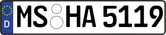 MS-HA5119