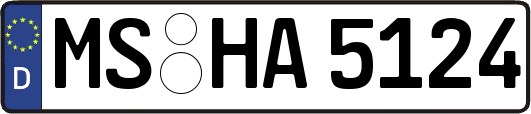 MS-HA5124