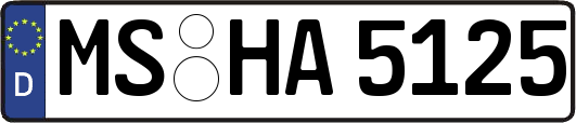 MS-HA5125
