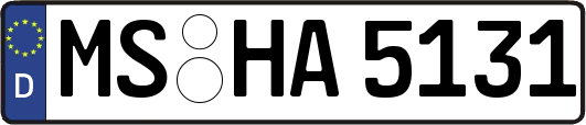 MS-HA5131