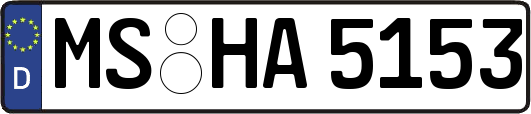 MS-HA5153